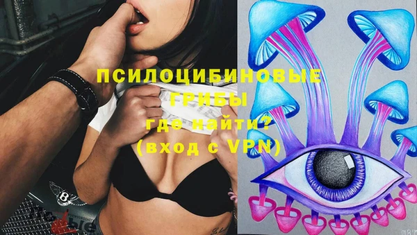 гидра Абинск