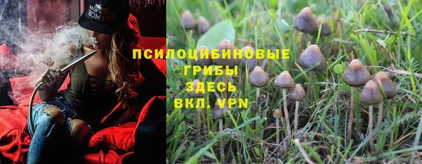 PSILOCYBIN Абаза
