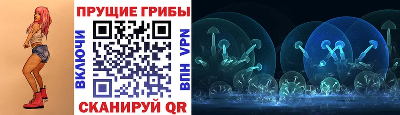 Псилоцибиновые грибы прущие грибы  Касли 